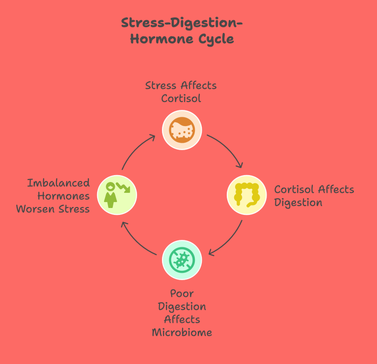 A visual representation of how stress, hormones, digestion are all inter-connected