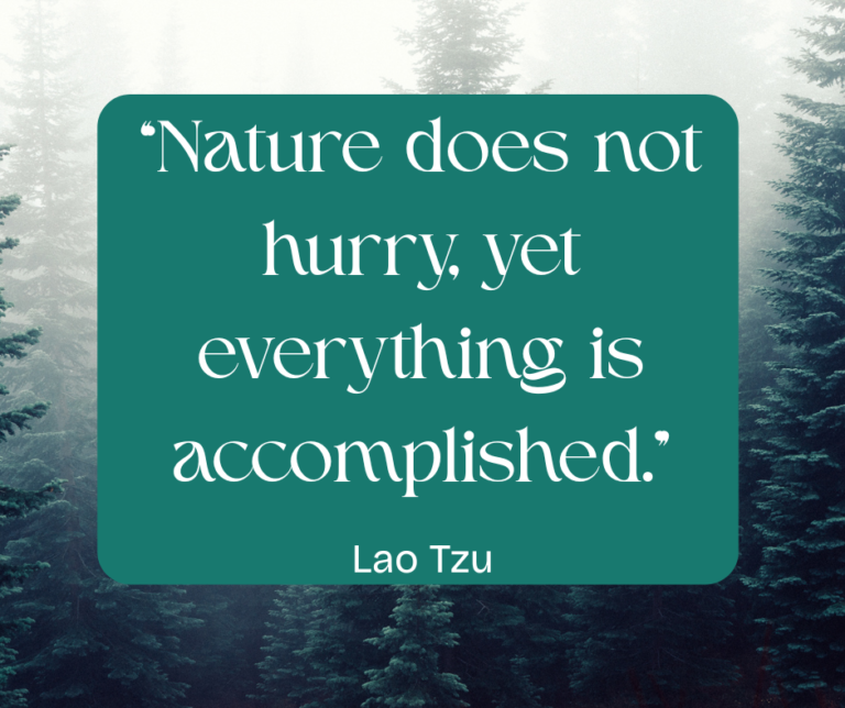 Lao Tzu saying about slowing down